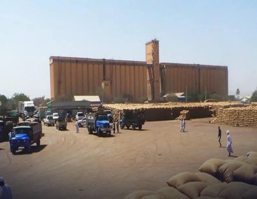 انخفاض وارد و أسعار المحاصيل في سوق القضارف بعد تراجع الطلب