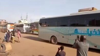 الخرطوم تستقبل 23 باصاً في أكبر قافلة عودة طوعية من مصر