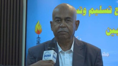 وزير الطاقة يؤكد استمرار جهود توصيل الكهرباء للقطاعات السكنية والصناعية والزراعية