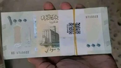 الجنيه السوداني يهبط إلى مستوى قياسي أمام الجنيه المصري