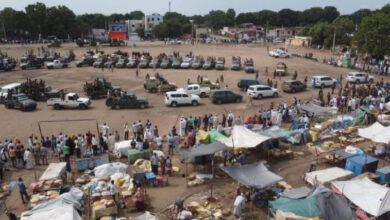 وردنا الآن من شوارع مدينة الدمازين