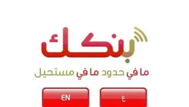 كشف شبكة احتيال استولت على 92 مليون جنيه من حساب ضابط