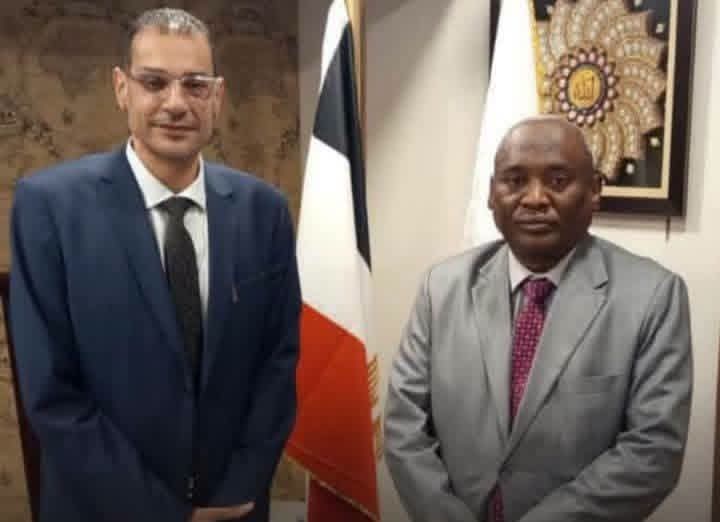 تنسيق مصري سوداني لمعالجة عقبات تسجيل الطلاب وتأشيرات الدخول