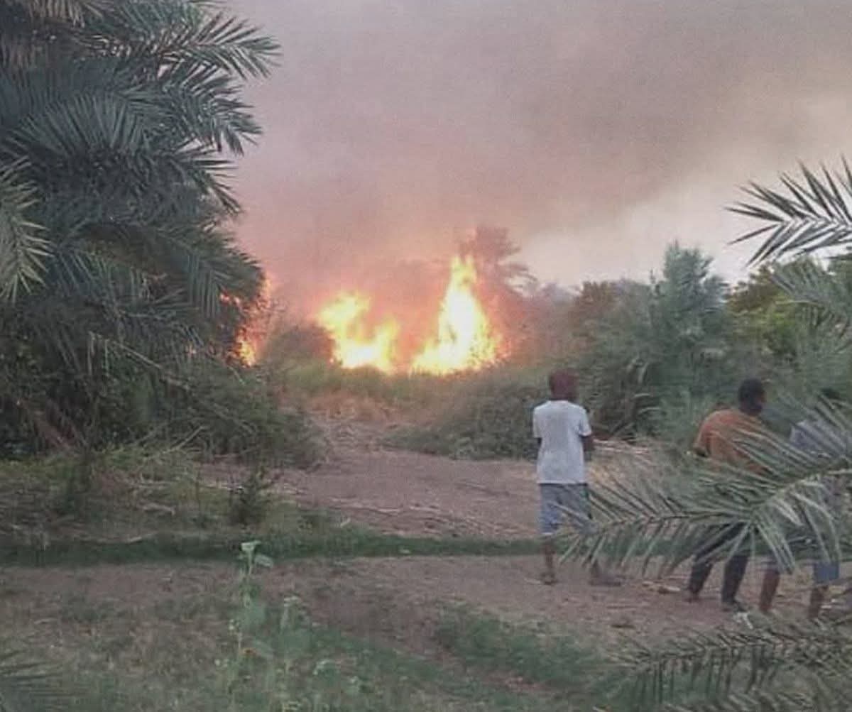 الدفاع المدني يسيطر على حريقين بمزارع النخيل في دلقو