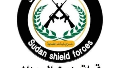 بيان رسمي من “درع السودان” بشأن توقيف صحفي في ود مدني