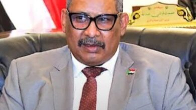 وزير الزراعة: السودان “لن يجوع”
