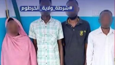 امرأة في قبضة الشرطة بعد قيادة شبكة متخصصة في السرقات