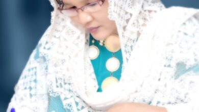 د.شذى الشريف تكتب : دبلوماسية المخابرات العامة.. من أمن الدولة إلى حماية المصالح الوطنية