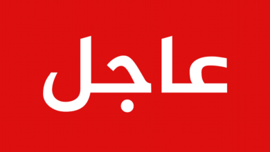عاجل | مدينة الدمازين بالنيل الأزرق.. وردنا الآن