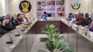 قطر تتجه للاستثمار في الثروة الحيوانية بالسودان